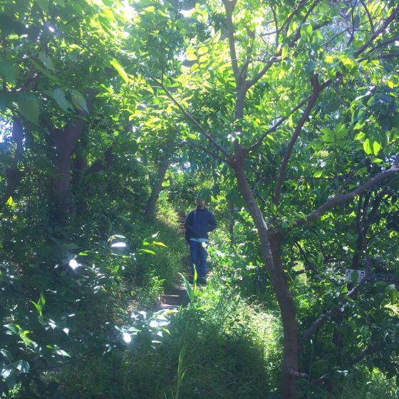 #4　 jarrin  aka Yohei Maezawa